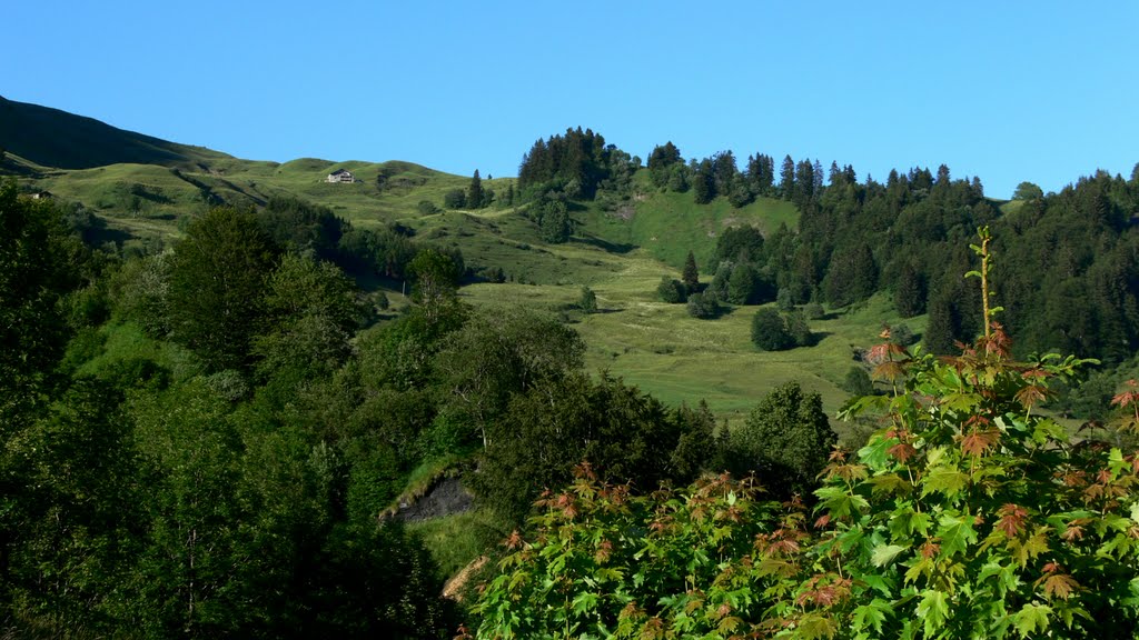 Environs de la Giettaz (Savoie) by Naru Kenji