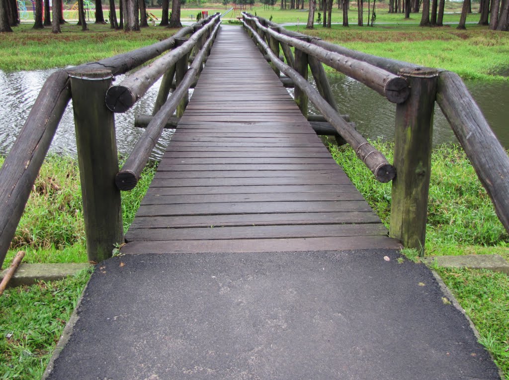 Parque de São José dos Pinhais, PR, Brasil. by André Bonacin