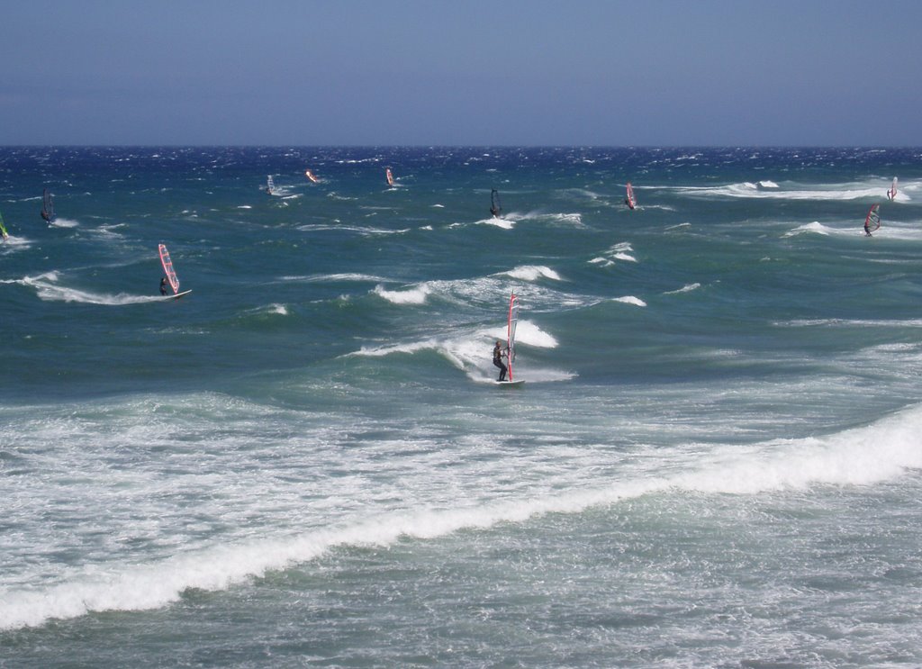 Pozo Izquierdo windsurfer by ol4t