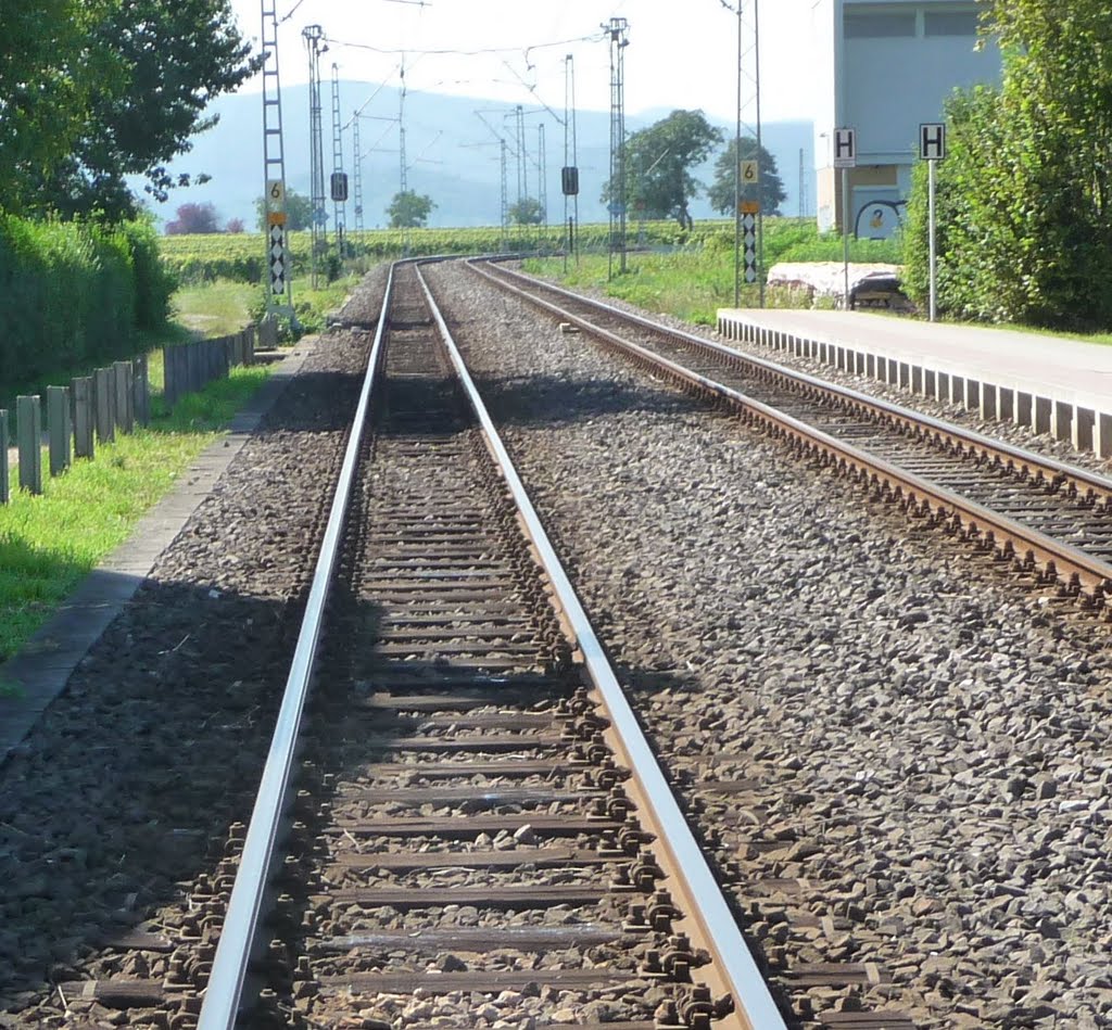 Gleise der Rhein-Haardtbahn (RHB) nach Dürkheim by Immanuel Giel