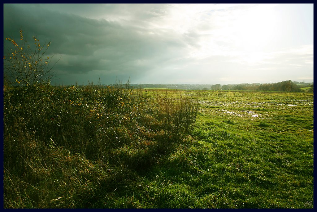 Grassland with mud outside Solingen in the afternoon by © Carsten