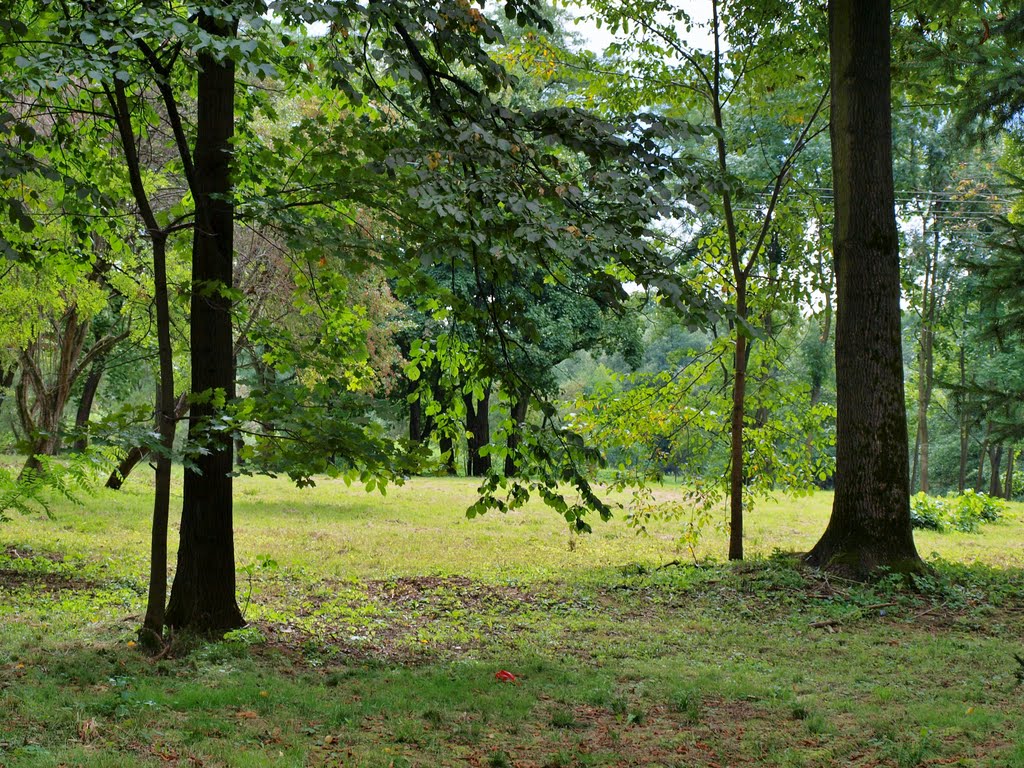 Kraków Swoszowice - spa park by wuhazet