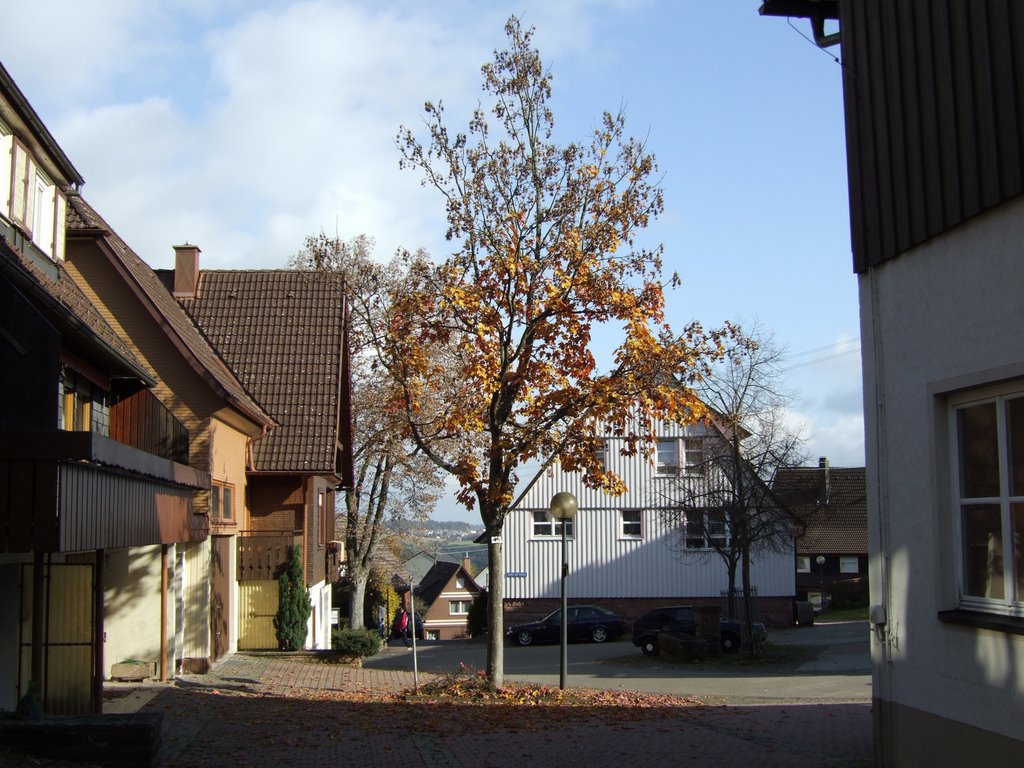 Loßburg, Brunnenweg by RDZfds