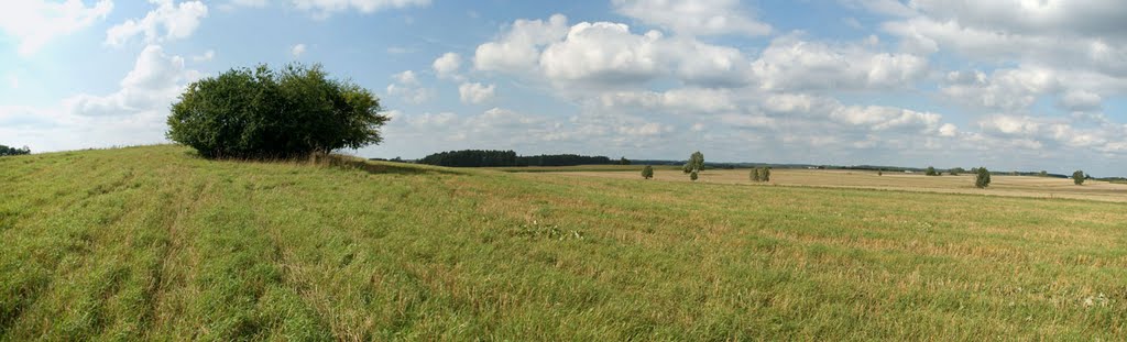 POZYCJA UMOCNIONA RZĘGNOWO - LEKKI SCHRON PIECHOTY (URBAN ) NR 2 by Łukasz Świetlik