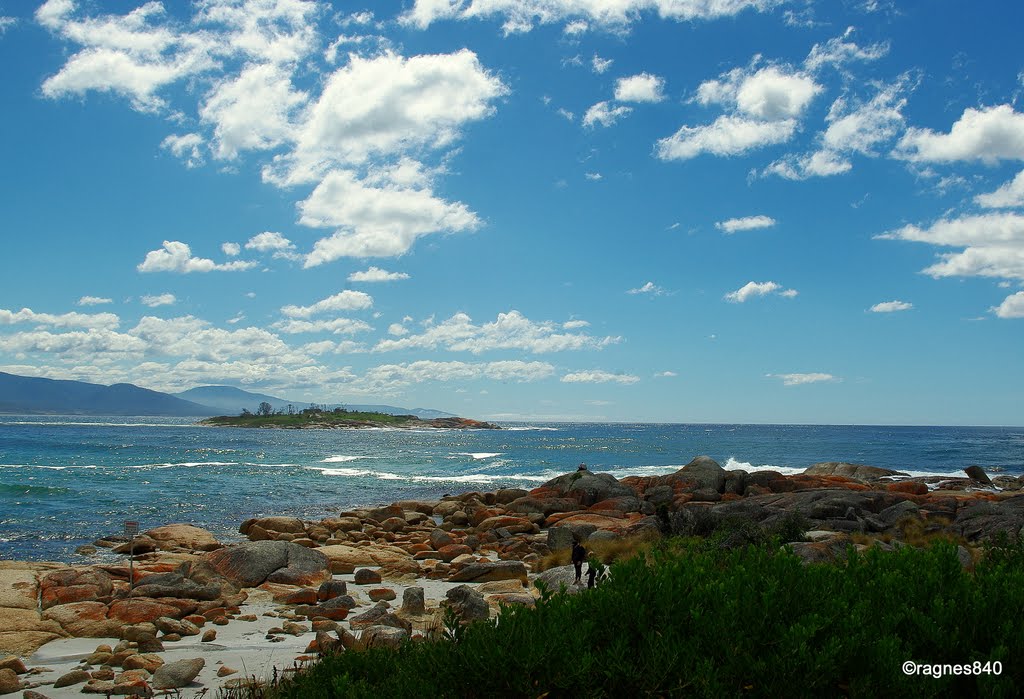 Bicheno beach.tasmania by rogernelly