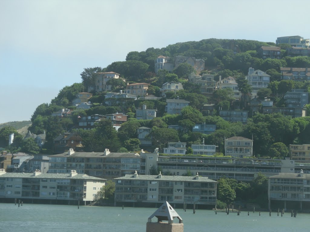 SAUSALITO - Panorama sulla collina by ferdonio