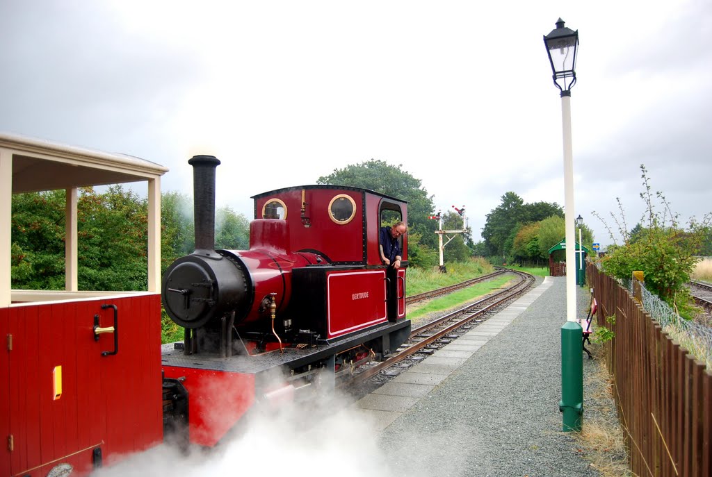 'Gertrude' at Porthmadog by Peter_private_box