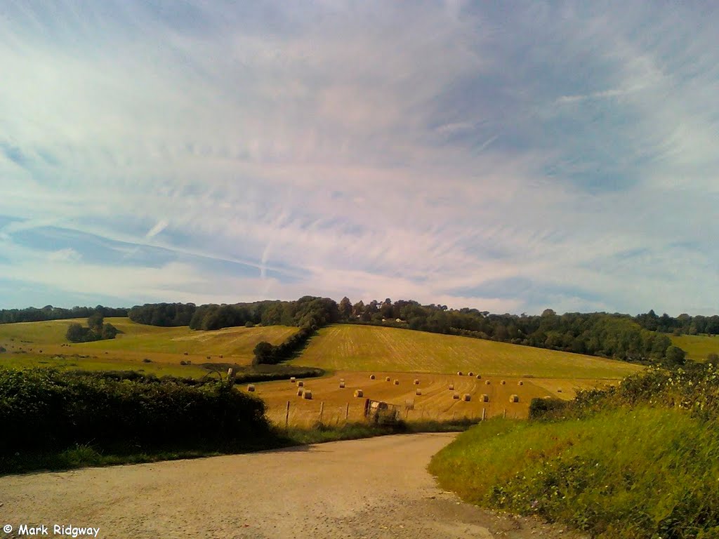 Fields by Sundridge Road by Mark Ridgway