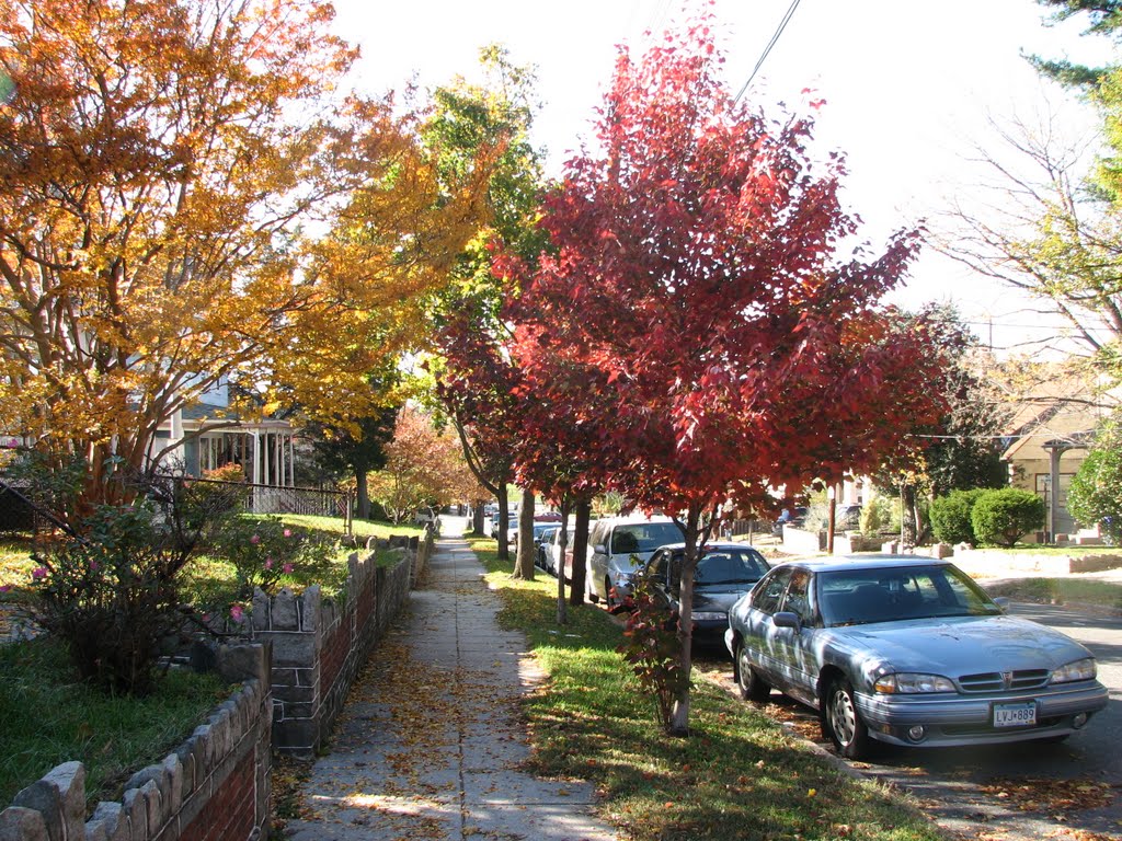 Autumn in Washington DC by Abraham ofm