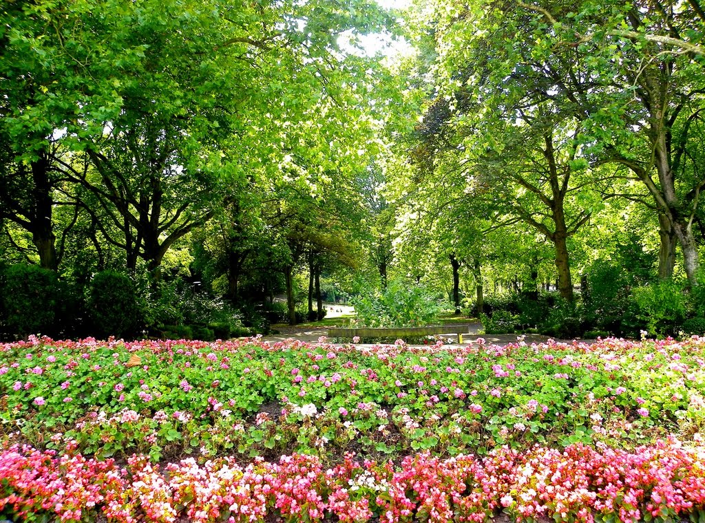 Mouscron - Le parc - Gros plan sur le parterre de fleurs de l'entrée by epaulard59