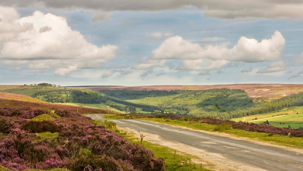 Farnsdale, North Yorkshire by DAVHAR