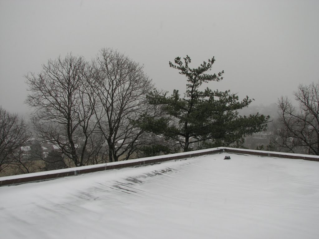 Winter in Washington DC, Franciscan Monastery by Abraham ofm