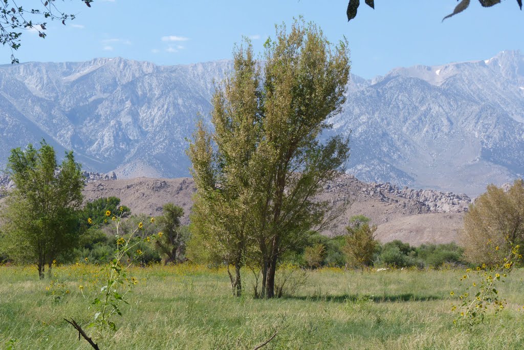 Lone Pine California by Steven James