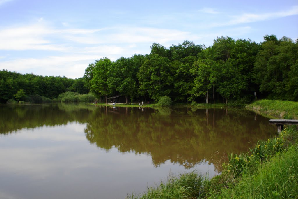 Víztározó / Water reservoir by Peti József