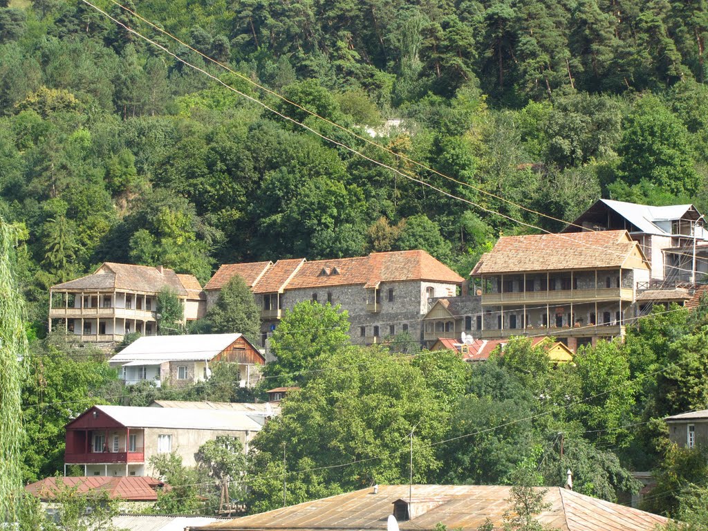 Dilijan by Arthur Igityan