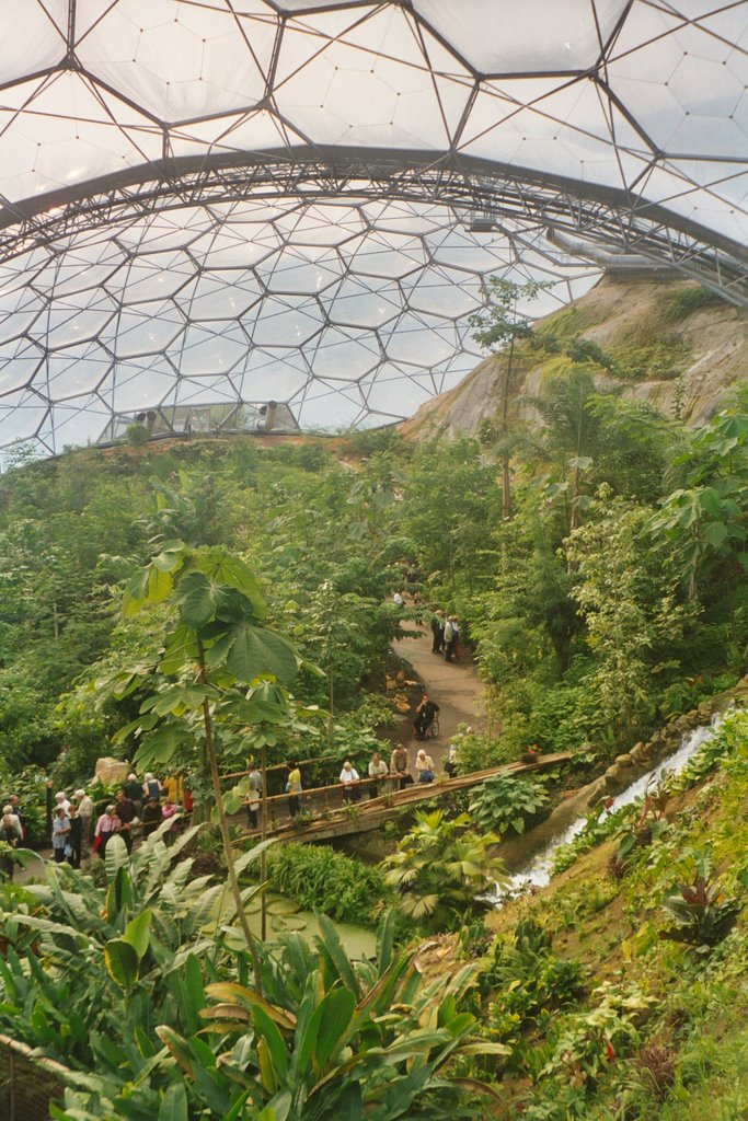 Eden project by fillup