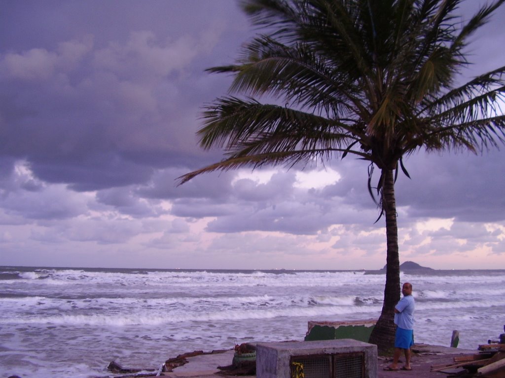 Stormy Beach by Will C. van den Hoon…