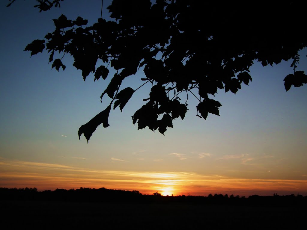 Sunset over Witham by Tommoofessex