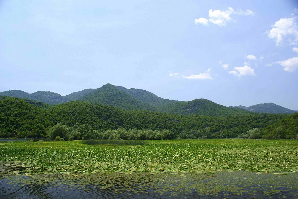 DONJE SELO - River, water lilies and hills - Rivière, nénuphars et collines - Fluß, Wasserlilien und Hügel (3) by J Ph. HEBRARD