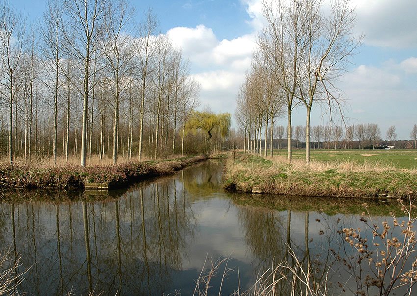 Oude lede/Moervaart (Wachtebeke) by A.Lebacq