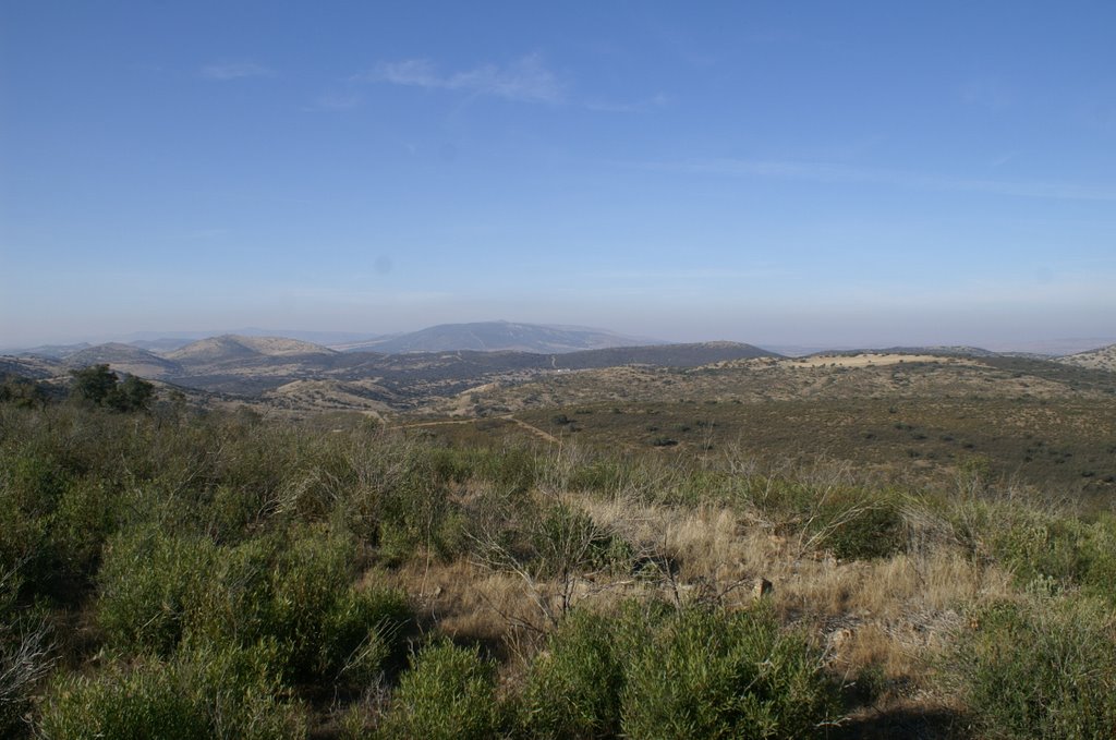 Calderón desde el fondo by JMMadrid