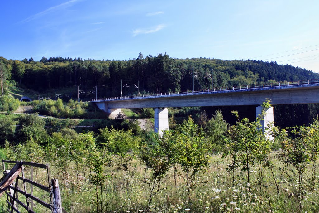 Eisenbachtalviadukt by oller rainer