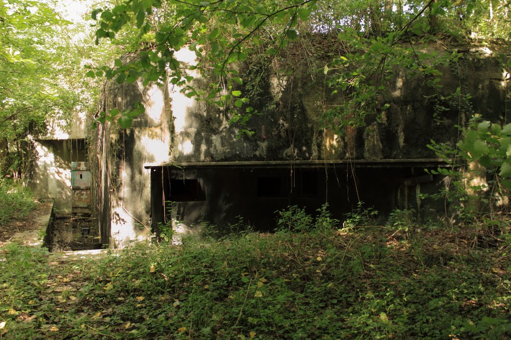 Maginotlinie - Casemate Rountzenheim by Georg.Daniel.Kilian