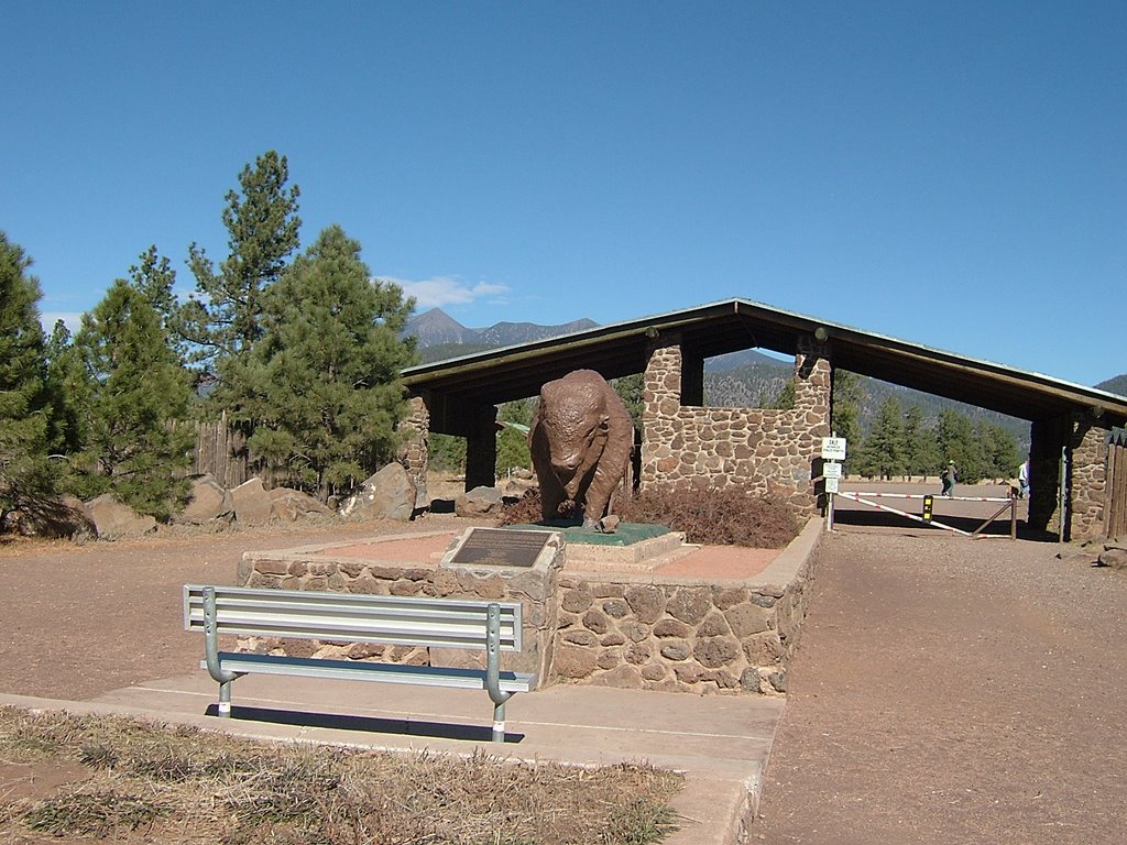 2007 - Flagstaff, Arizona, Buffalo Park by cbotel