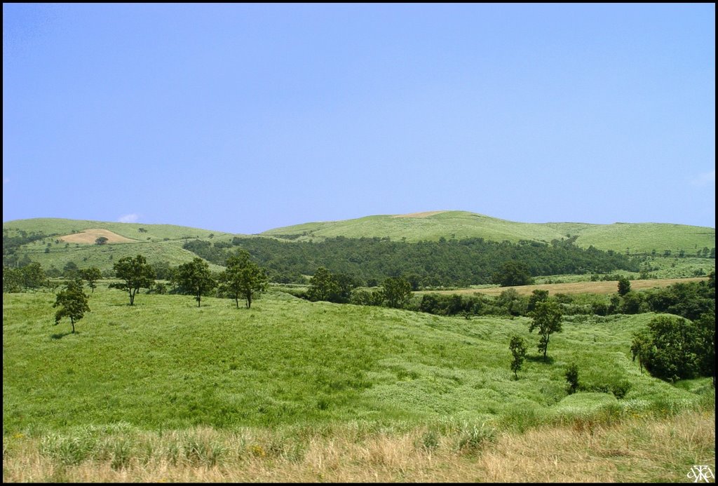 Plateau between Aso et Kuju by André GARDELLA