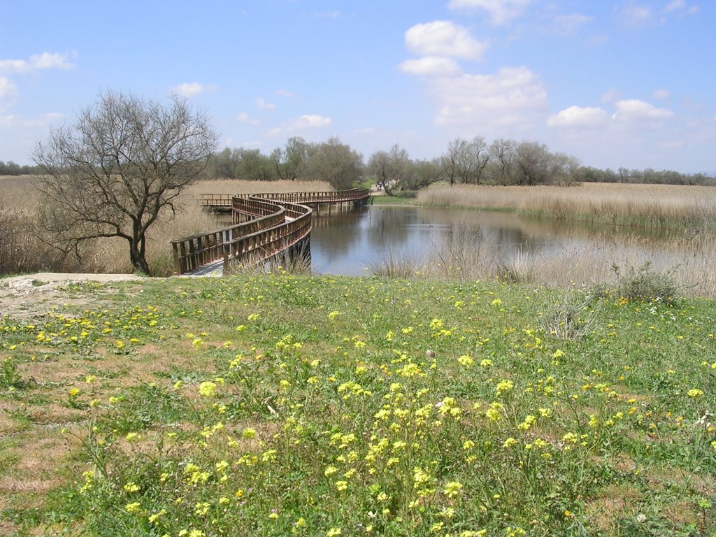 PARQUE NACIONAL DE LAS TABLAS DE DAIMIEL by JUAN CARLOS LÓPEZ