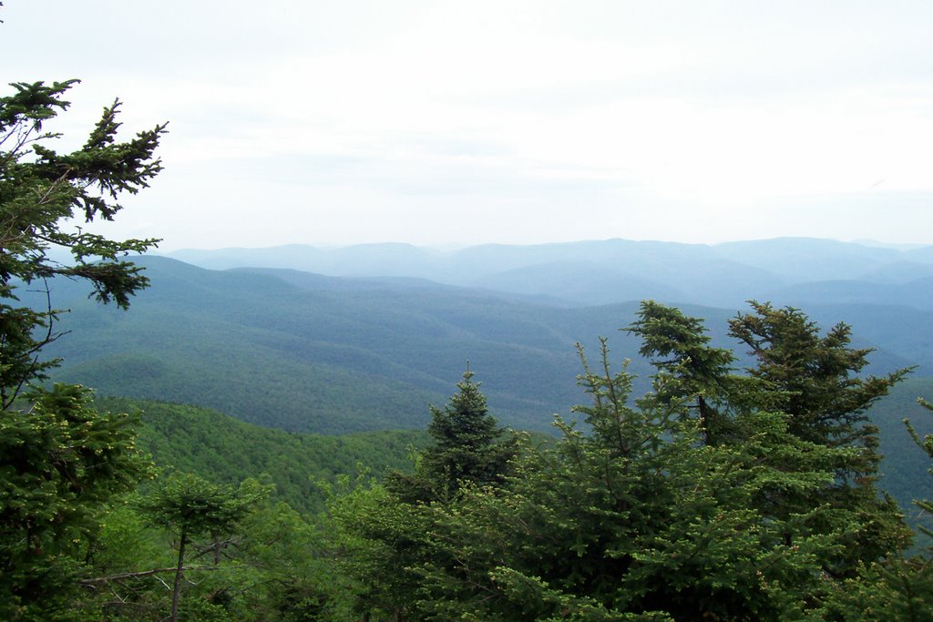 View from Slide Mountain by imp336