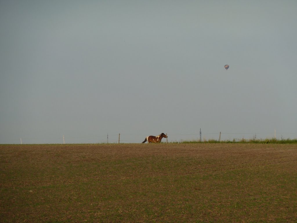 Pferdekoppel mit Heißluftballon by Martin Beitz