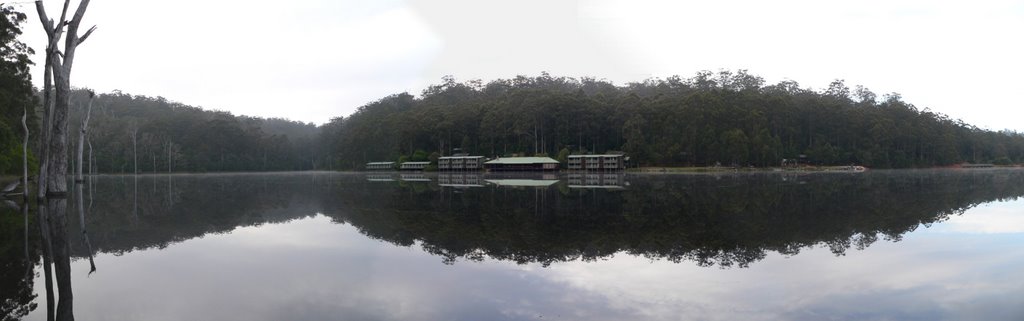 Karri Valley early morning by steve111