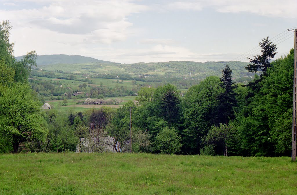 Łapanów (1995) by Robert Babral