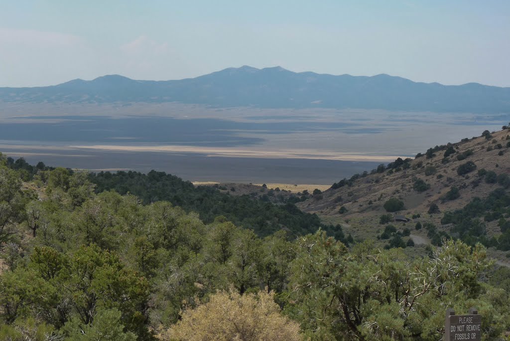 View from Berlin-Ichthyosaur State Park Nevada by Steven James