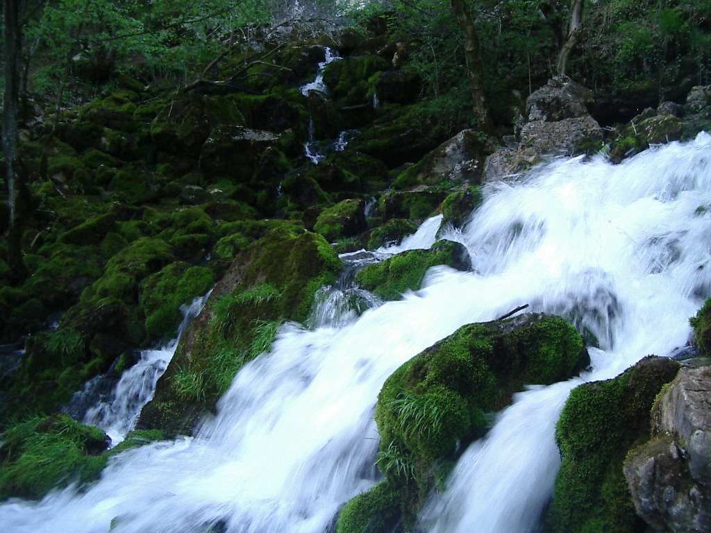 The well of Grza, near Paraćin by Sashkica 29