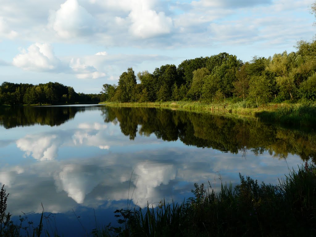 Heidesee by Anne W.