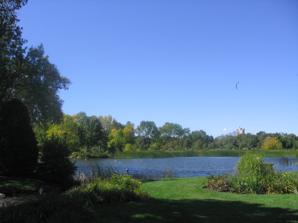 Lago Jardín Botánico by alitomar