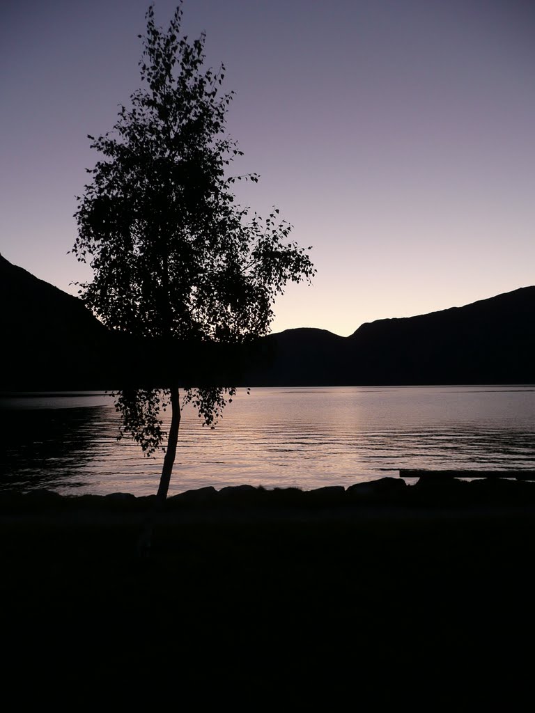 Eidfjord at night by Rubén Cabrejas Pina