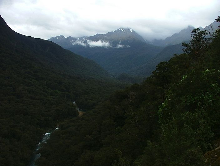 View along Hollyford Valley towards Humboldt Mountains by Greg Steenbeeke