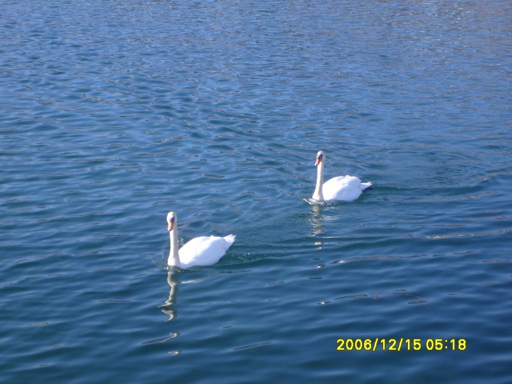 Ohrid 6000, Macedonia (FYROM) by adrijana stojanoska