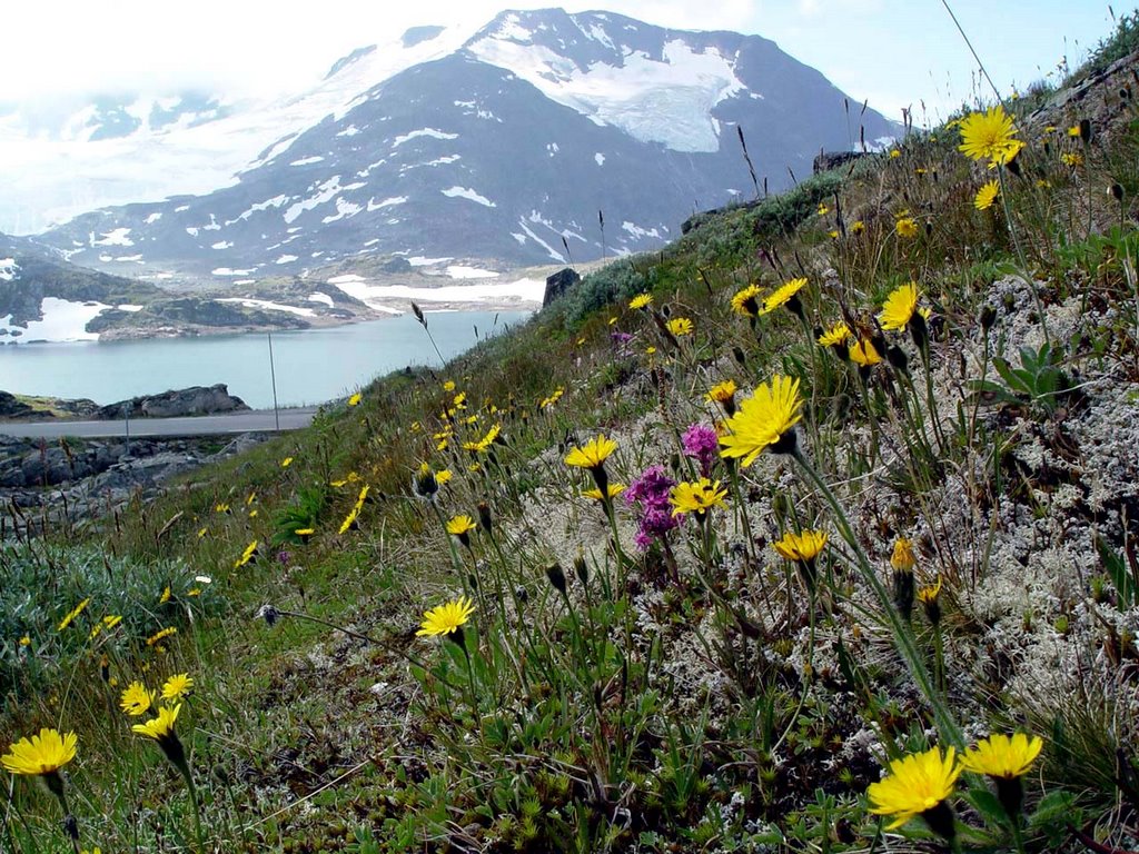 Jotunheimen by Jürgen Grensing