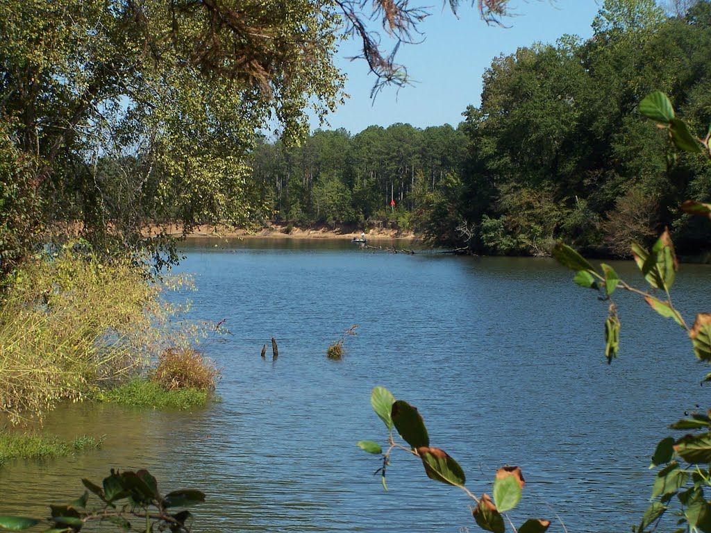 Tennessee-Tombigbee Waterway at Barton's Ferry by Ronald Losure