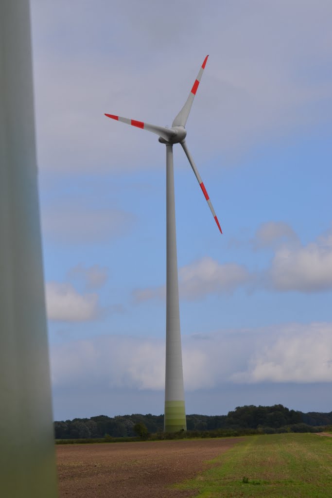 Wind, Wind, Power, by petrus petrus