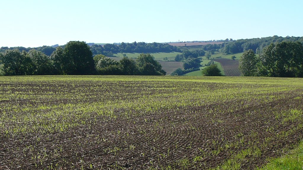 GR2, en direction de Bligny le Sec by moritius