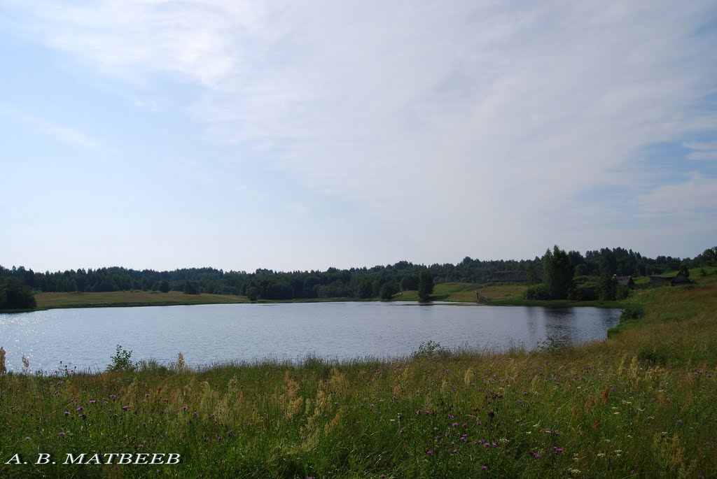 Пруд у дер. Чижово/Pond near Chizhovo village, 20.07.2011 by mav1818