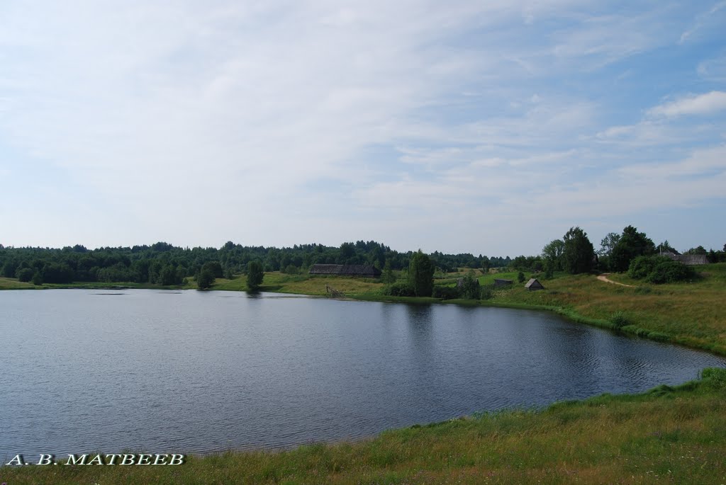 Пруд у дер. Чижово/Pond near Chizhovo village, 20.07.2011 by mav1818