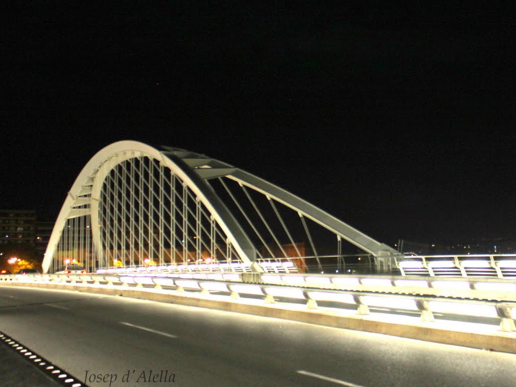 Pont de Calatrava, Barcelona. by Josep M.T.