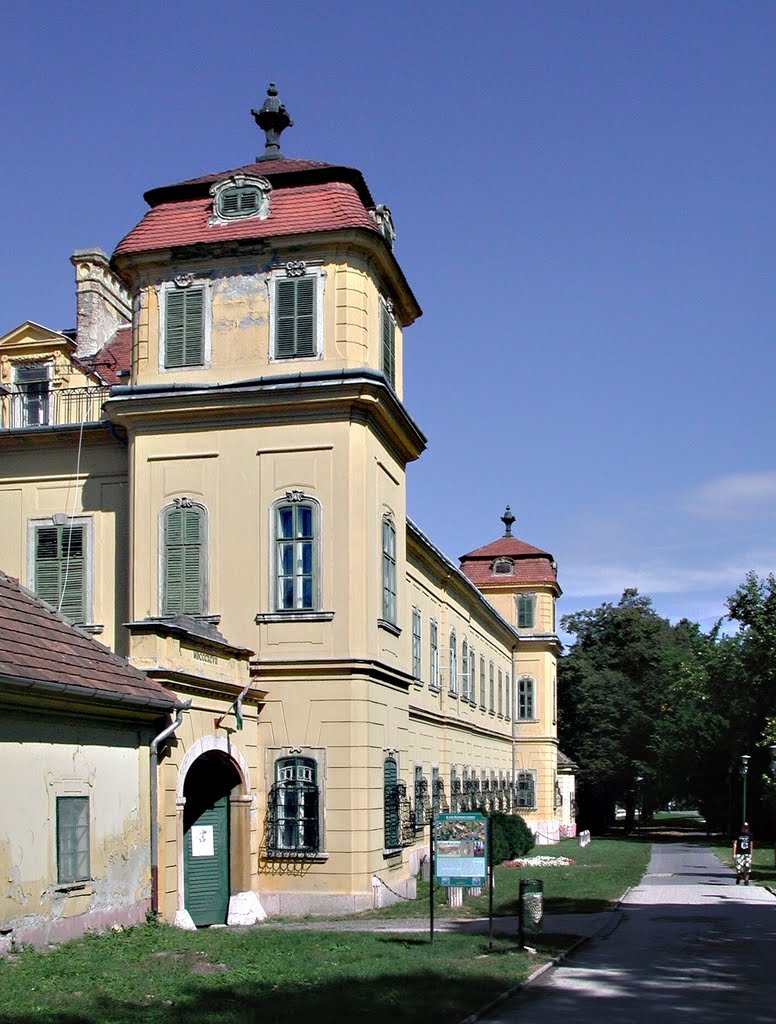 Tatai Esterházy-kastély - Eszterházy Castle of Tata by Ildikó Fehérváry