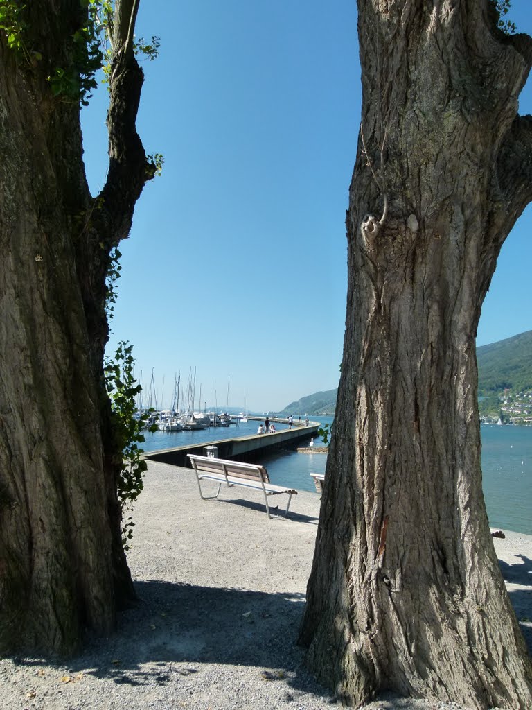 Jetée du Lac de Bienne by Magda GHALI